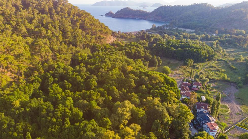 Adahan Family Rooms Gocek غوجيك المظهر الخارجي الصورة